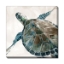 Picture of NEUTRAL SEA TURTLE II ART