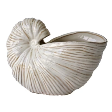 Picture of WHT CER NAUTILUS SHELL SCULPT