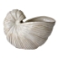 Picture of WHT CER NAUTILUS SHELL SCULPT