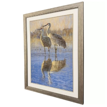 Picture of REFLECTIONS EGRET IN MARSH