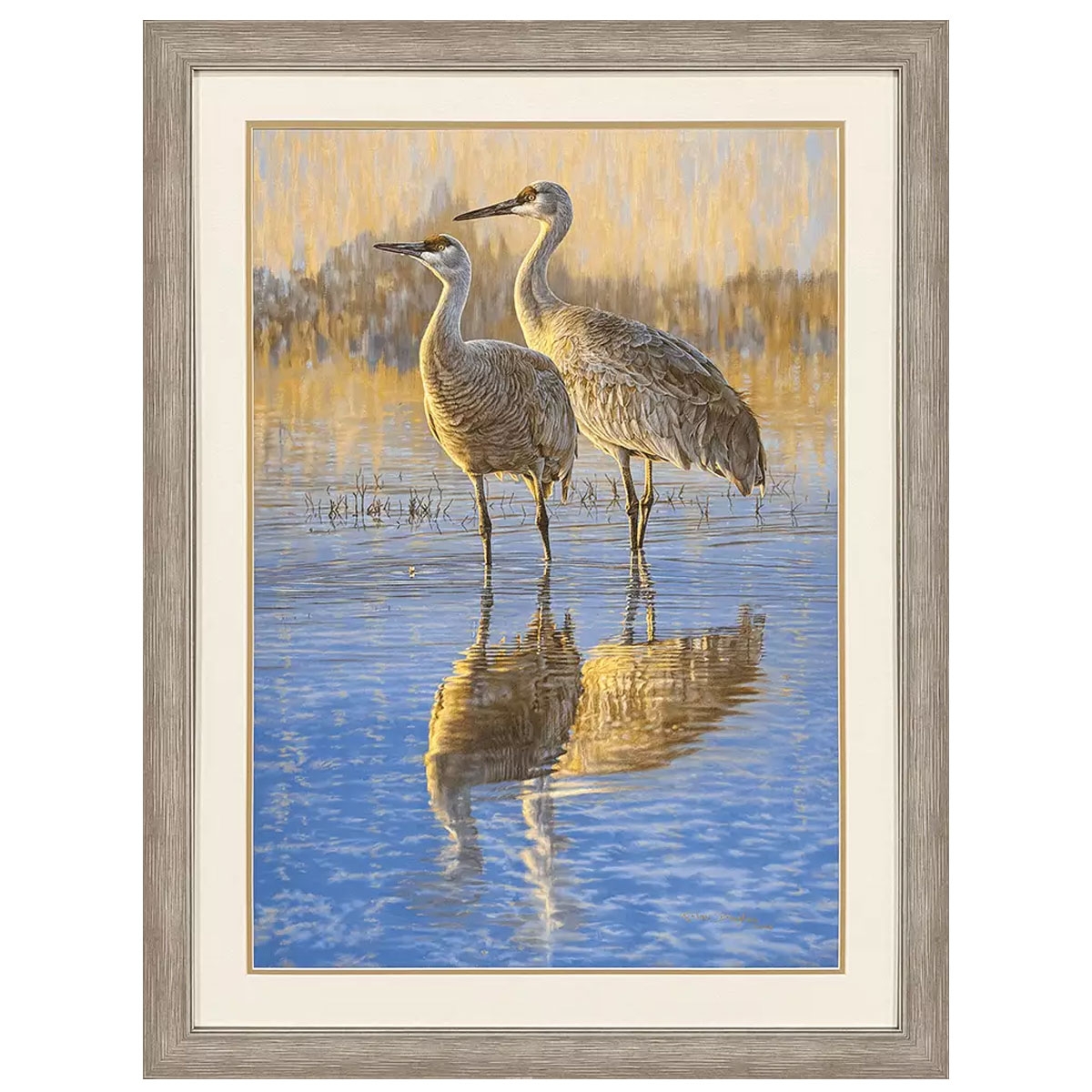 Picture of REFLECTIONS EGRET IN MARSH