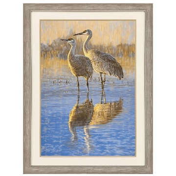 Picture of REFLECTIONS EGRET IN MARSH
