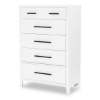 Picture of BAHAMA 5 DRAWER CHEST