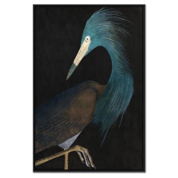 Picture of MAJESTIC BLUE HERON II
