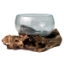 Picture of DRIFTWOOD/GLASS TERRARIUM
