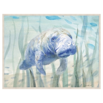 Picture of MANATEE CSTL CANVAS ART