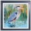 Picture of TROP BRIGHTS RT FACING BIRD