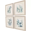 Picture of S/4 UNDERWATER BOTANY ART