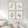 Picture of S/4 UNDERWATER BOTANY ART