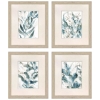 Picture of S/4 UNDERWATER BOTANY ART