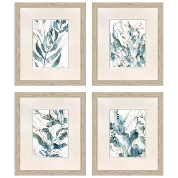 Picture of S/4 UNDERWATER BOTANY ART