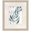Picture of S/4 UNDERWATER BOTANY ART
