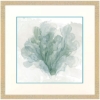 Picture of BLUE CORAL II FRM ART