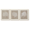 Picture of HENDRIDGE S/3 CORAL FRAME ART
