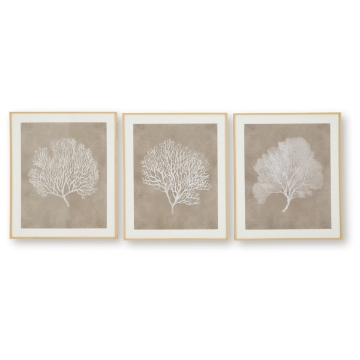 Picture of HENDRIDGE S/3 CORAL FRAME ART