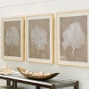 Picture of HENDRIDGE S/3 CORAL FRAME ART