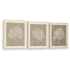 Picture of HENDRIDGE S/3 CORAL FRAME ART