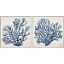 Picture of S/2 BLUE CORAL CANVAS ART