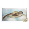 Picture of MAJESTIC TURTLE FRAMED ART