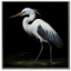 Picture of MIDNIGHT HERON II ART