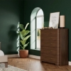 Picture of DELIA CHEST