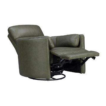 Picture of RADIUS PWR SWGL RECL SAGE