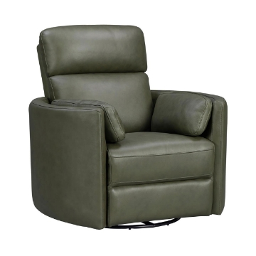 Picture of RADIUS PWR SWGL RECL SAGE