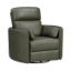 Picture of RADIUS PWR SWGL RECL SAGE