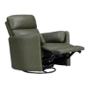 Picture of RADIUS PWR SWGL RECL SAGE