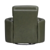 Picture of RADIUS PWR SWGL RECL SAGE