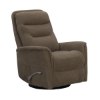 Picture of GEMINI SWGL RECLINER SNZY SHTAKE