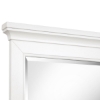 Picture of JUNIPER HILL MIRROR