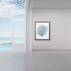 Picture of AQUA CORAL ON WHITE II