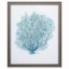 Picture of AQUA CORAL ON WHITE II