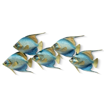Picture of QUEEN ANGELFISH SCHOOL OF FIVE
