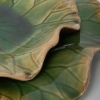 Picture of S/3 ABELLA GREEN GLS WALL ART