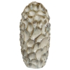 Picture of 13" DECORAH CER ABSTRACT VASE