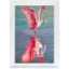 Picture of PINK SPOONBILLED BIRD ON WATER