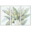 Picture of TRIPTYCH PALM LEAVE ART