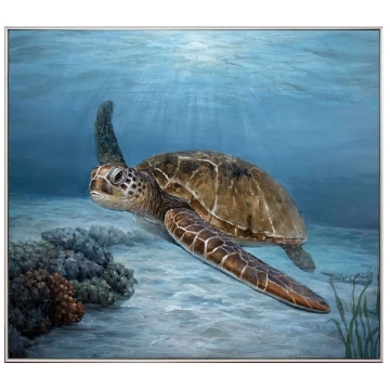 Picture of CRUISING TURTLE