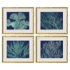 Picture of S/4 SEA GARDEN BL/GRN PRINTS