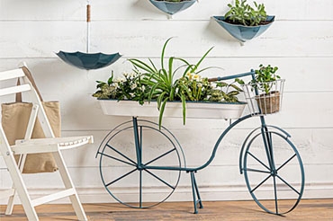 Picture for category - Floral and Floor Plants -