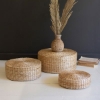 Picture of SEAGRASS RISER LARGE
