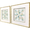 Picture of SALT WASHED SHELLS I S/2 ART