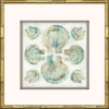 Picture of SALT WASHED SHELLS I S/2 ART