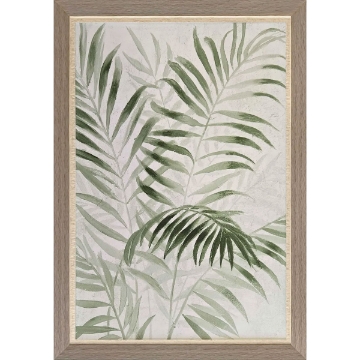 Picture of BOTANICAL FERN II ART
