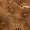 Picture of RHEA 32" ROOT COFFEE TABLE