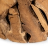 Picture of RHEA 32" ROOT COFFEE TABLE