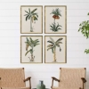 Picture of S/4 CONTEMPORARY PALM I ART