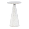 Picture of MANGROVE SPOT TABLE-WHT